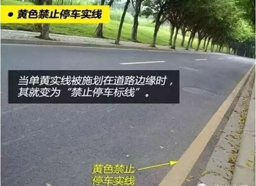 各种道路标线,你都记住了吗